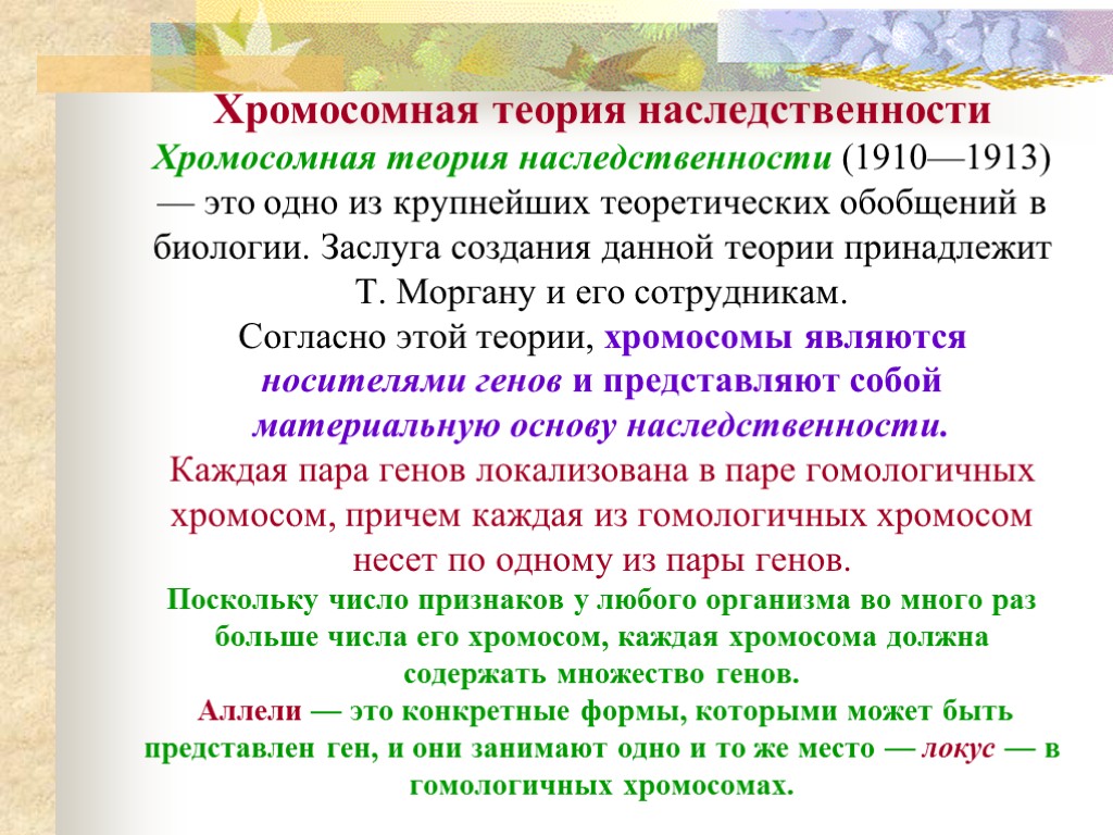 Хромосомная теория наследственности Хромосомная теория наследственности (1910—1913) — это одно из крупнейших теоретических обобщений